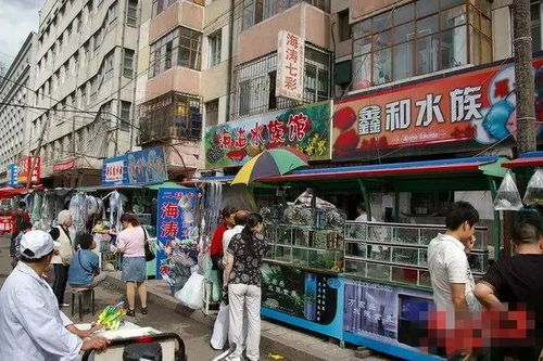 哈爾濱購(gòu)物省錢攻略 21條日用雜品最便宜的街巷盤點(diǎn)